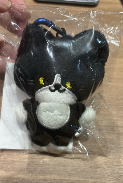 日週娃 藝貓