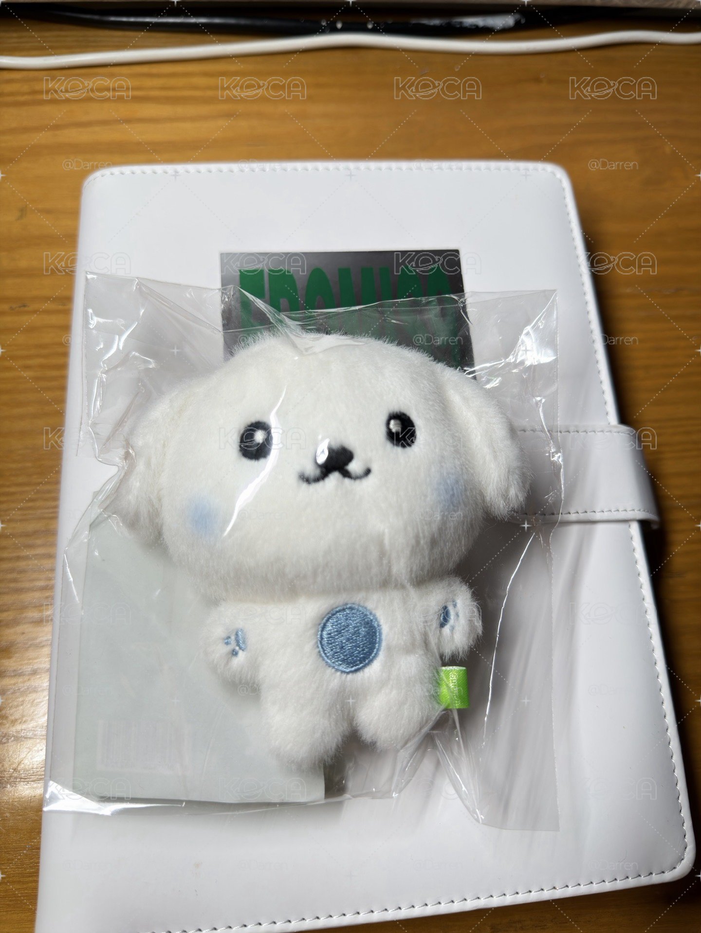 小白娃 BEAKMOONG 