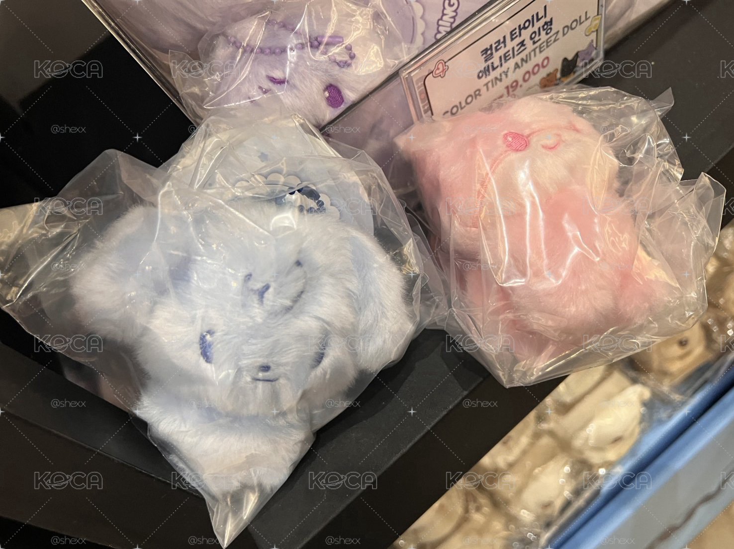 COLOR彩娃 中潤尚榮