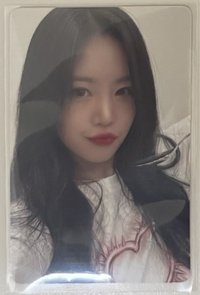  km簽售