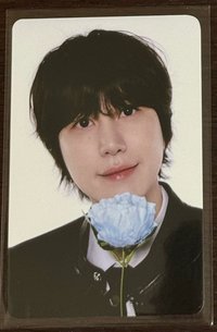 圭