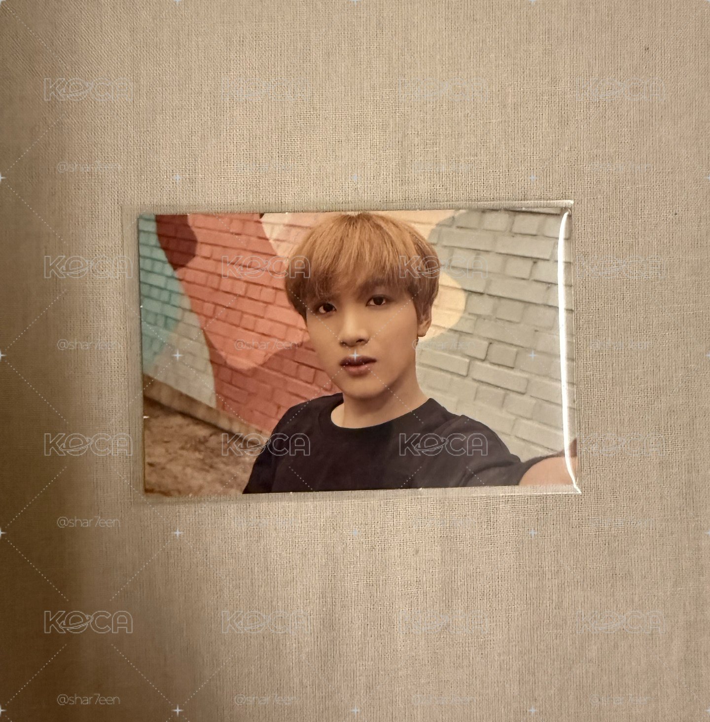 ☆卷毛小熊