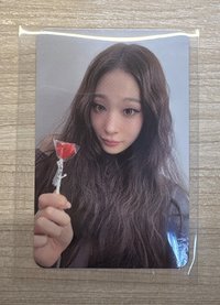 妮一張