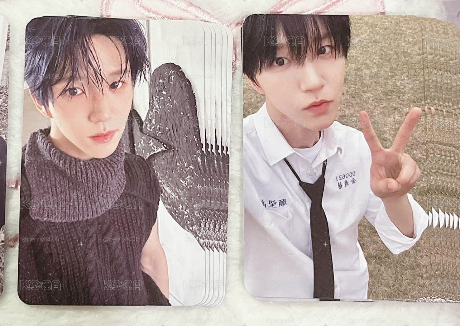黑版專卡+校服樹