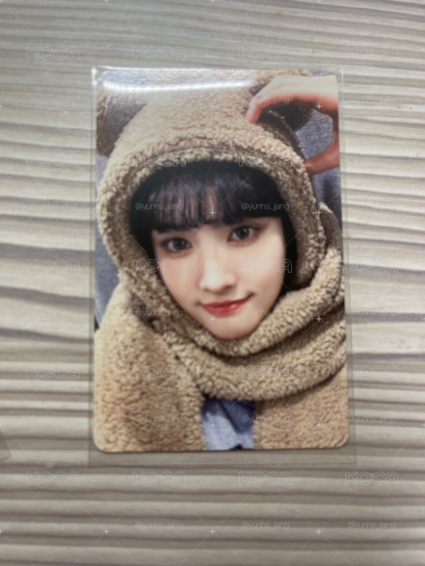 小熊 特典卡
