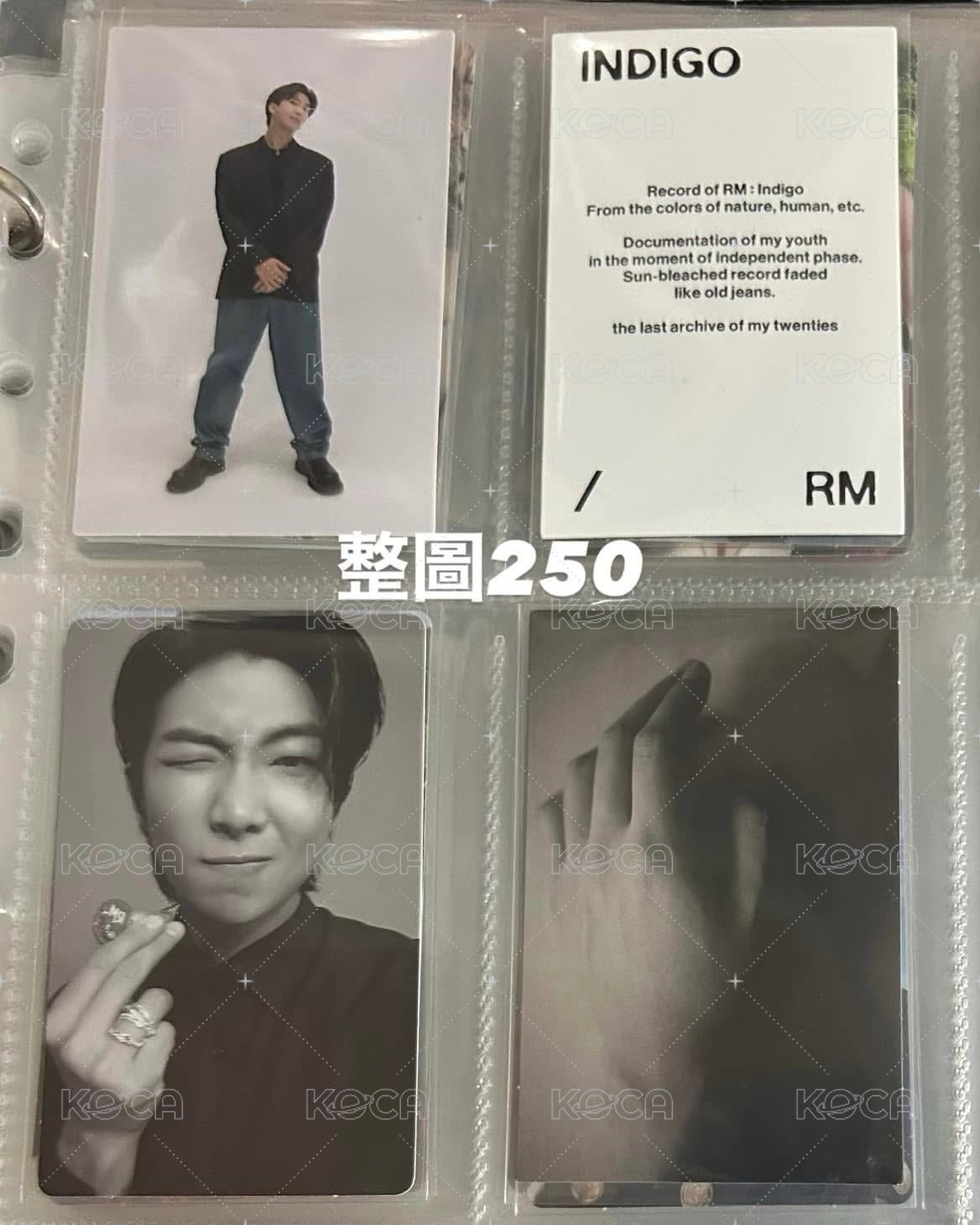南俊專