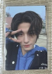 魚兒魚兒水中游