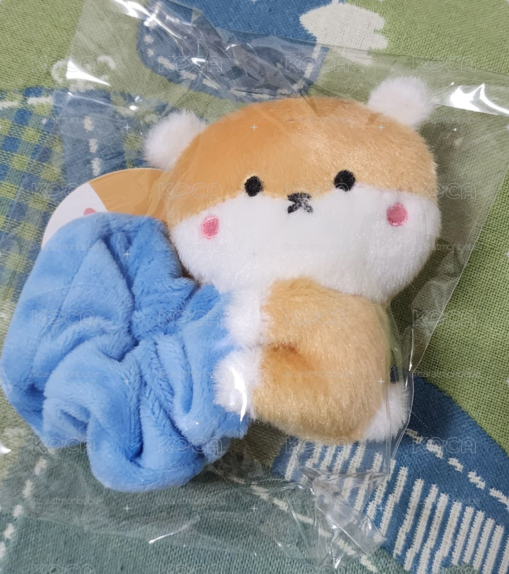 首爾場🐹大腸圈