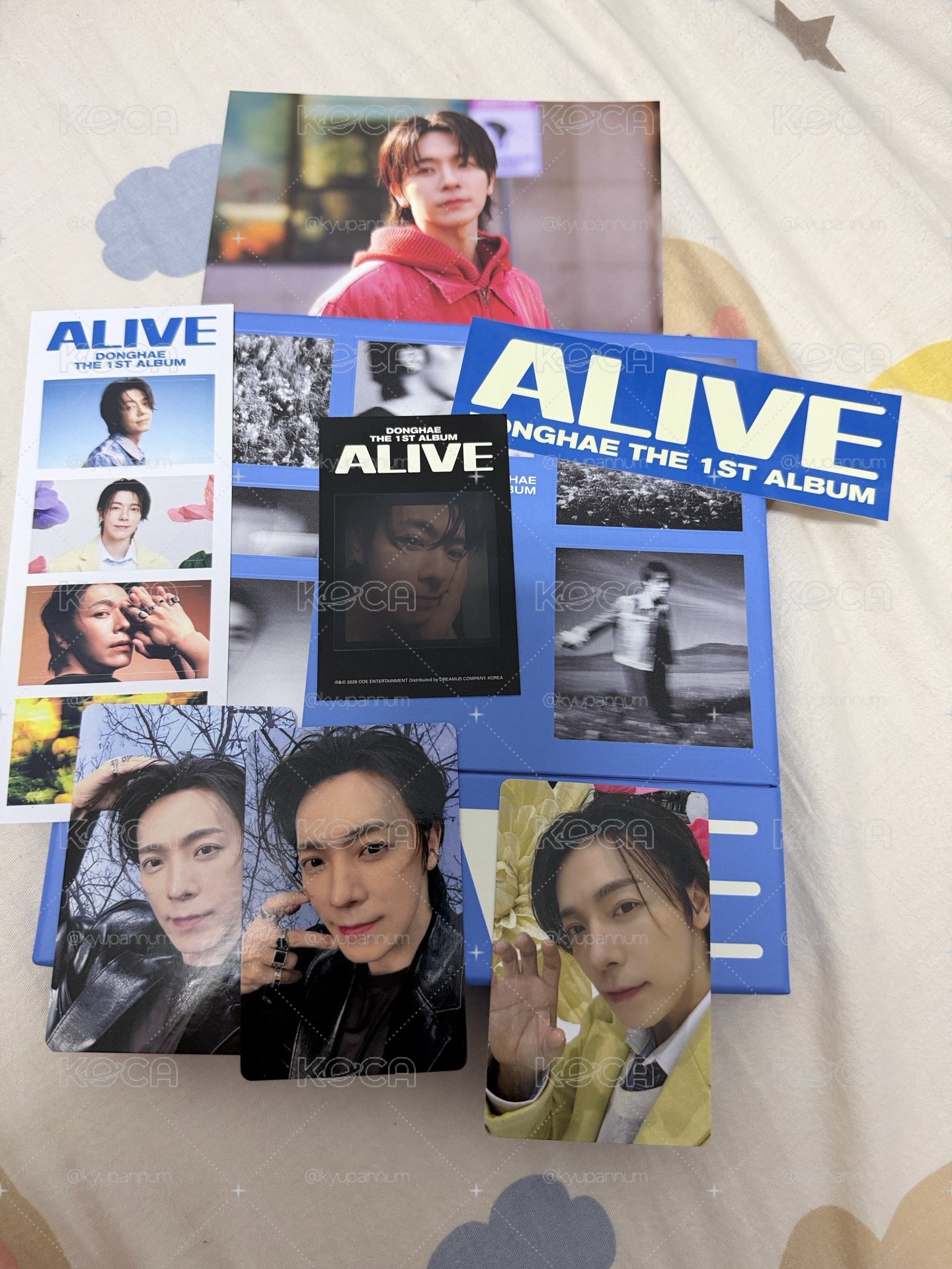 ALIVE東海專（僅拆開拍照