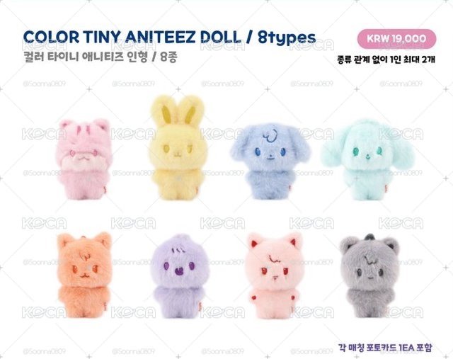 Aniteez in Color 線下快閃2（現貨）