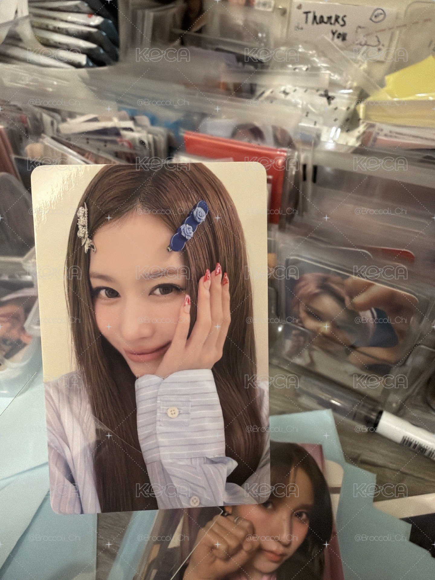 好運髮夾紗 1️⃣元起標💰