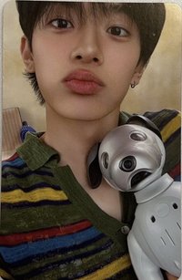 Free Falling Photobook 專輯卡 