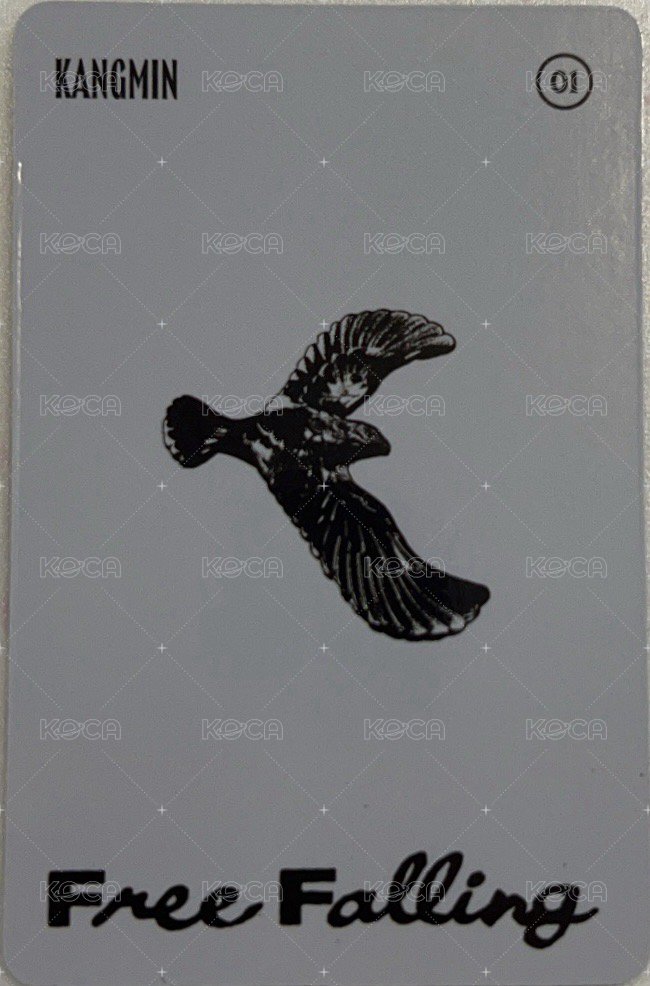 Free Falling Photobook 專輯卡  背面