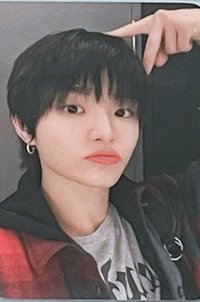 貓兒