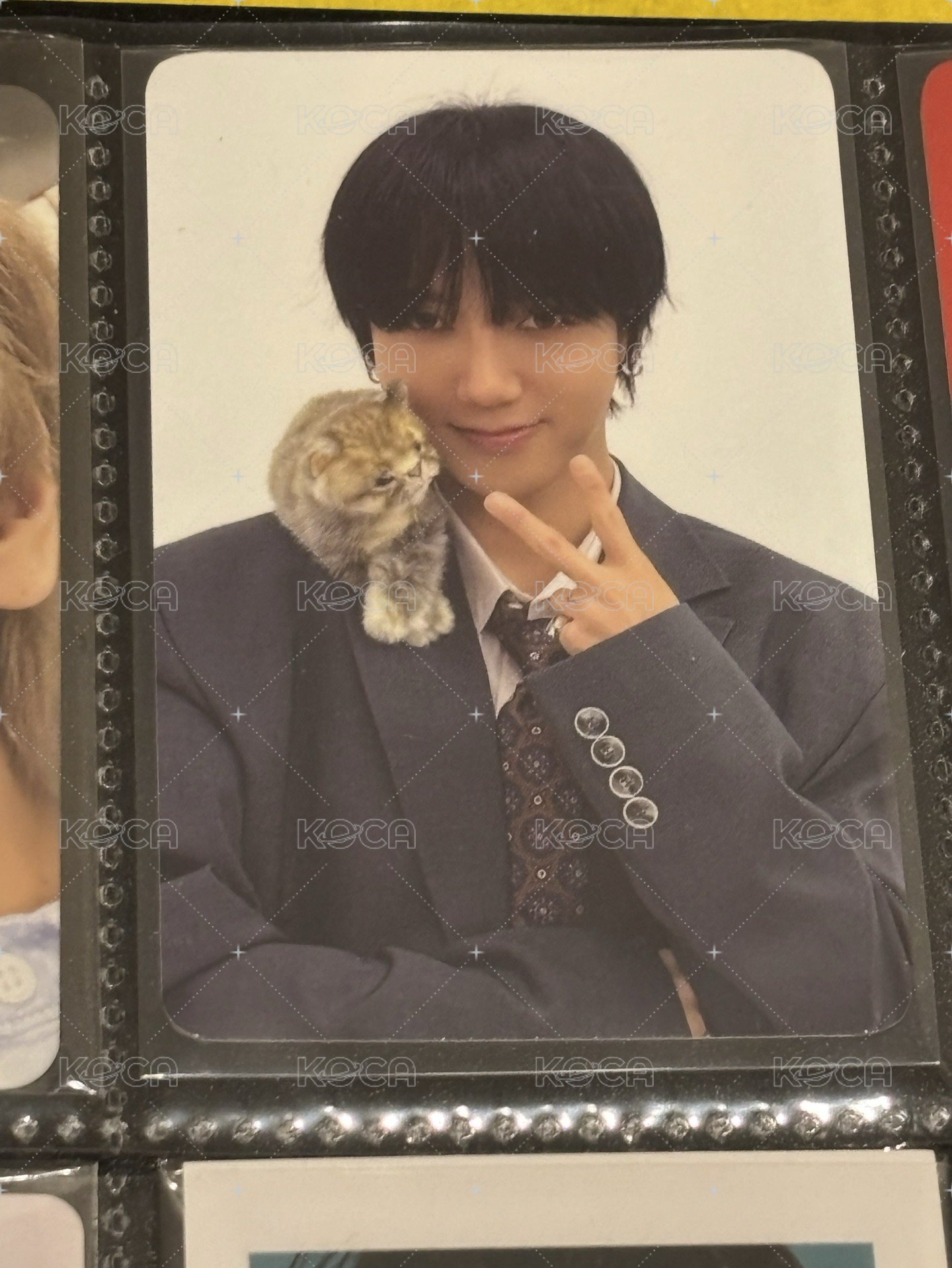 貓🐱藝聲