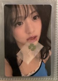 幸運草賢