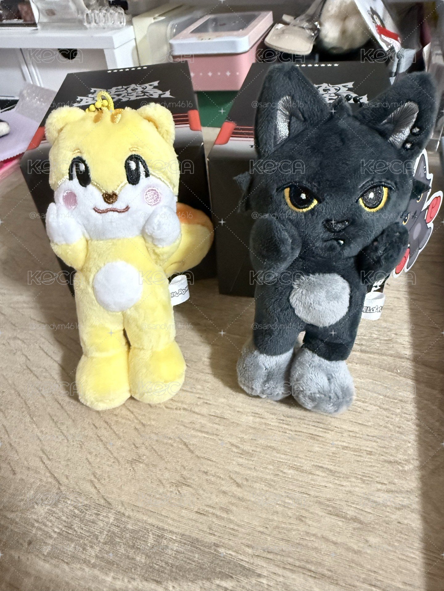 富安悠+小森優陽娃專 不拆售