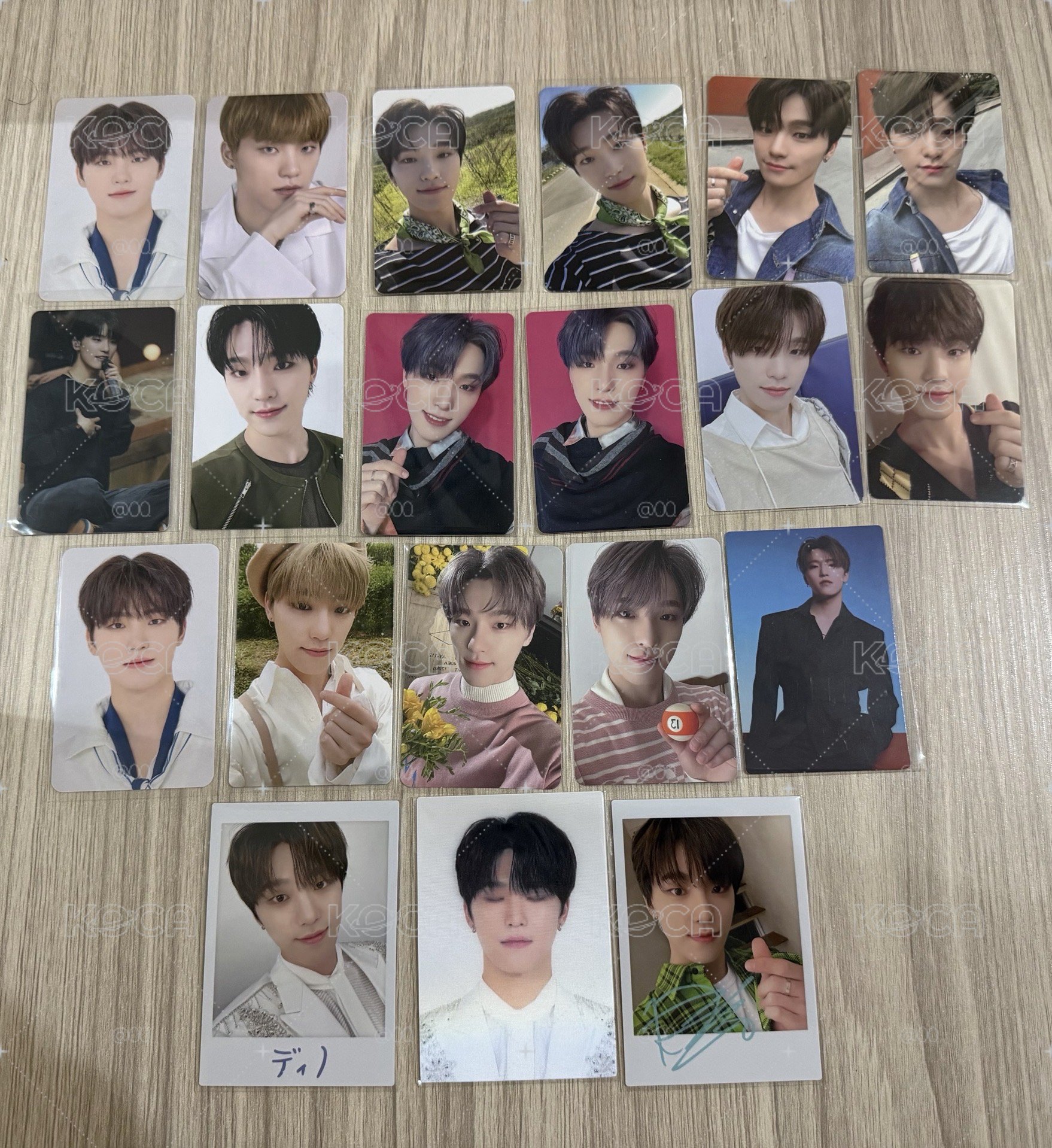 seventeen Dino