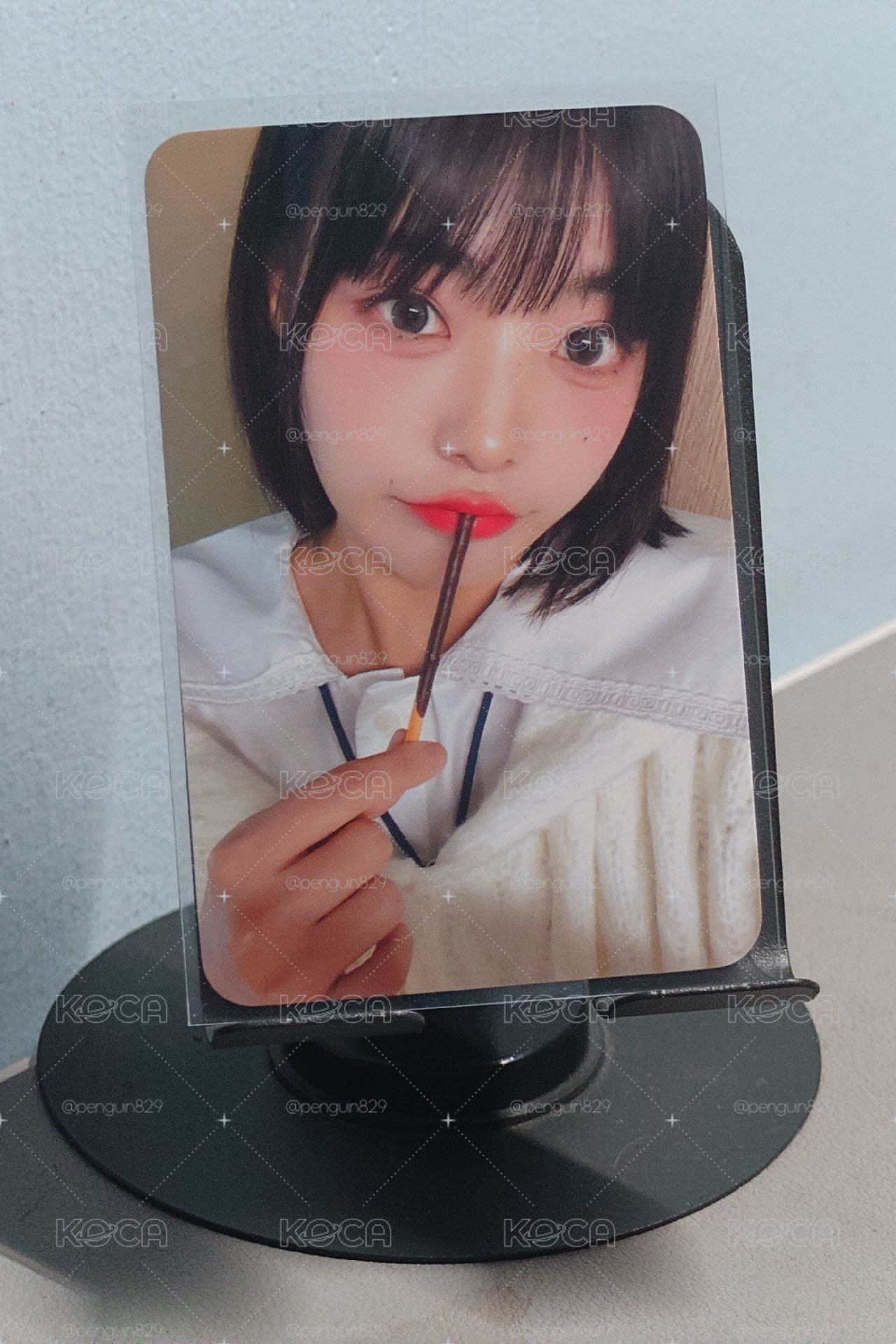 巧克力棒燕
