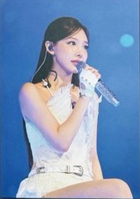 六巡 明信片 