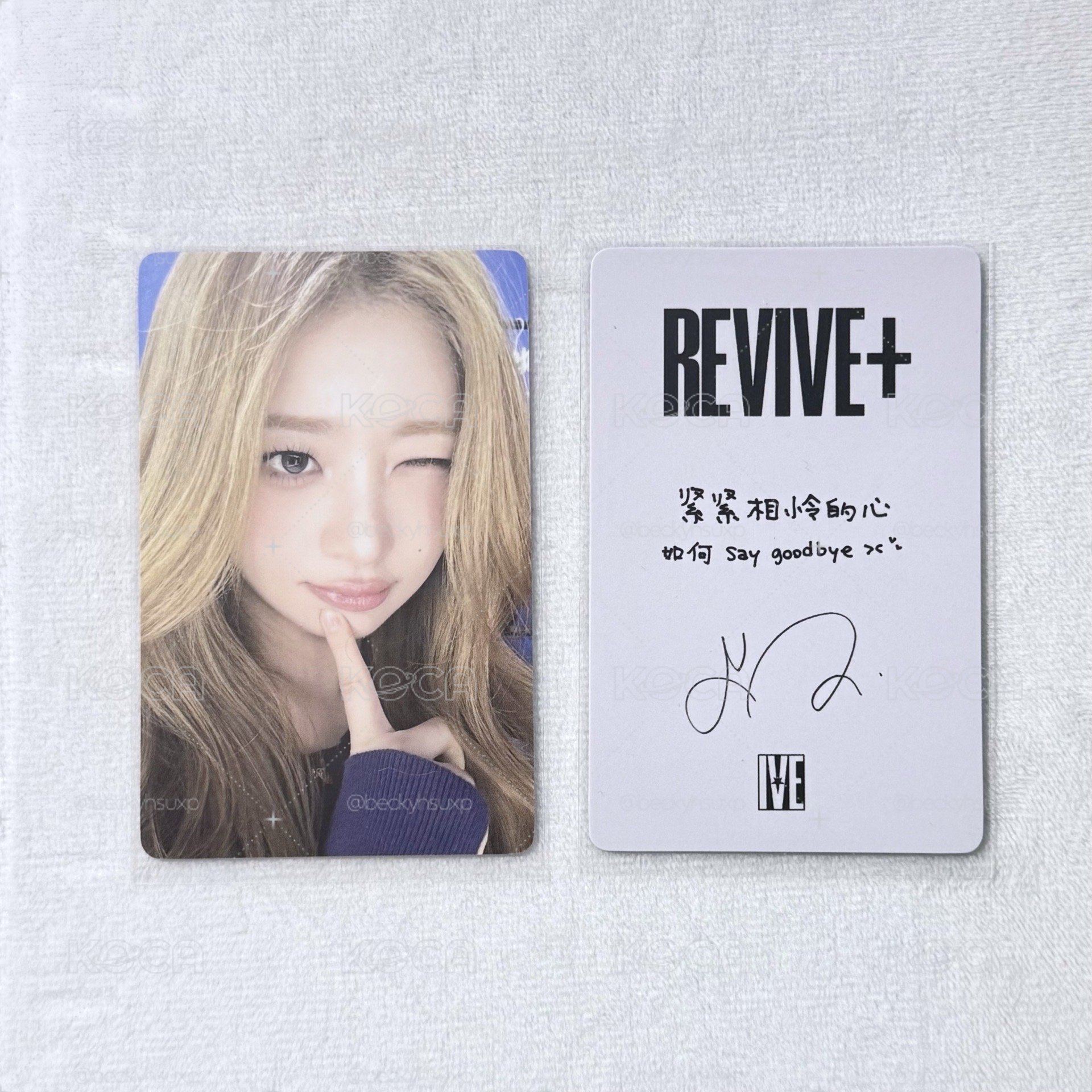 REVIVE+ 京東 1.0 特典怜