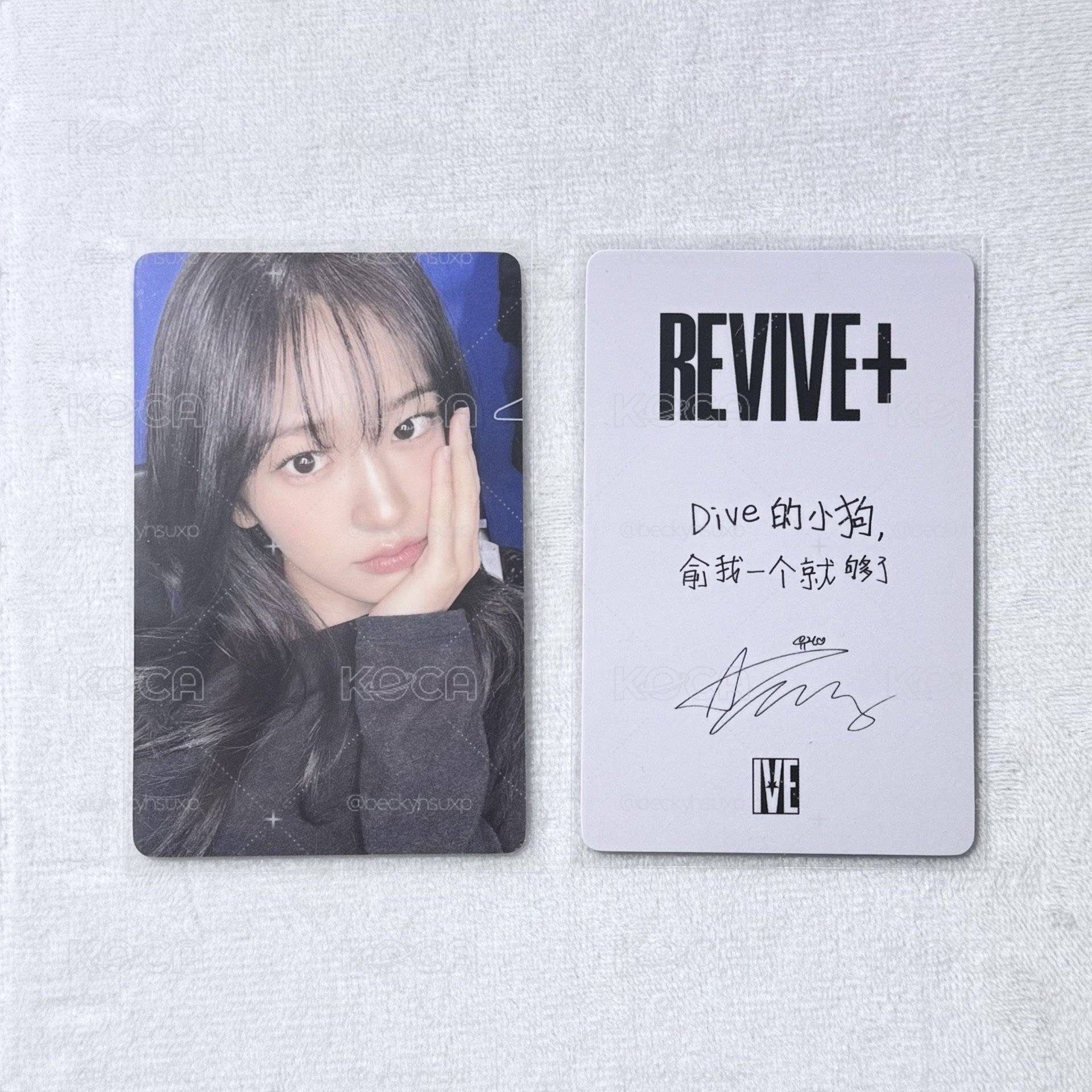 REVIVE+ 京東 1.0 特典安