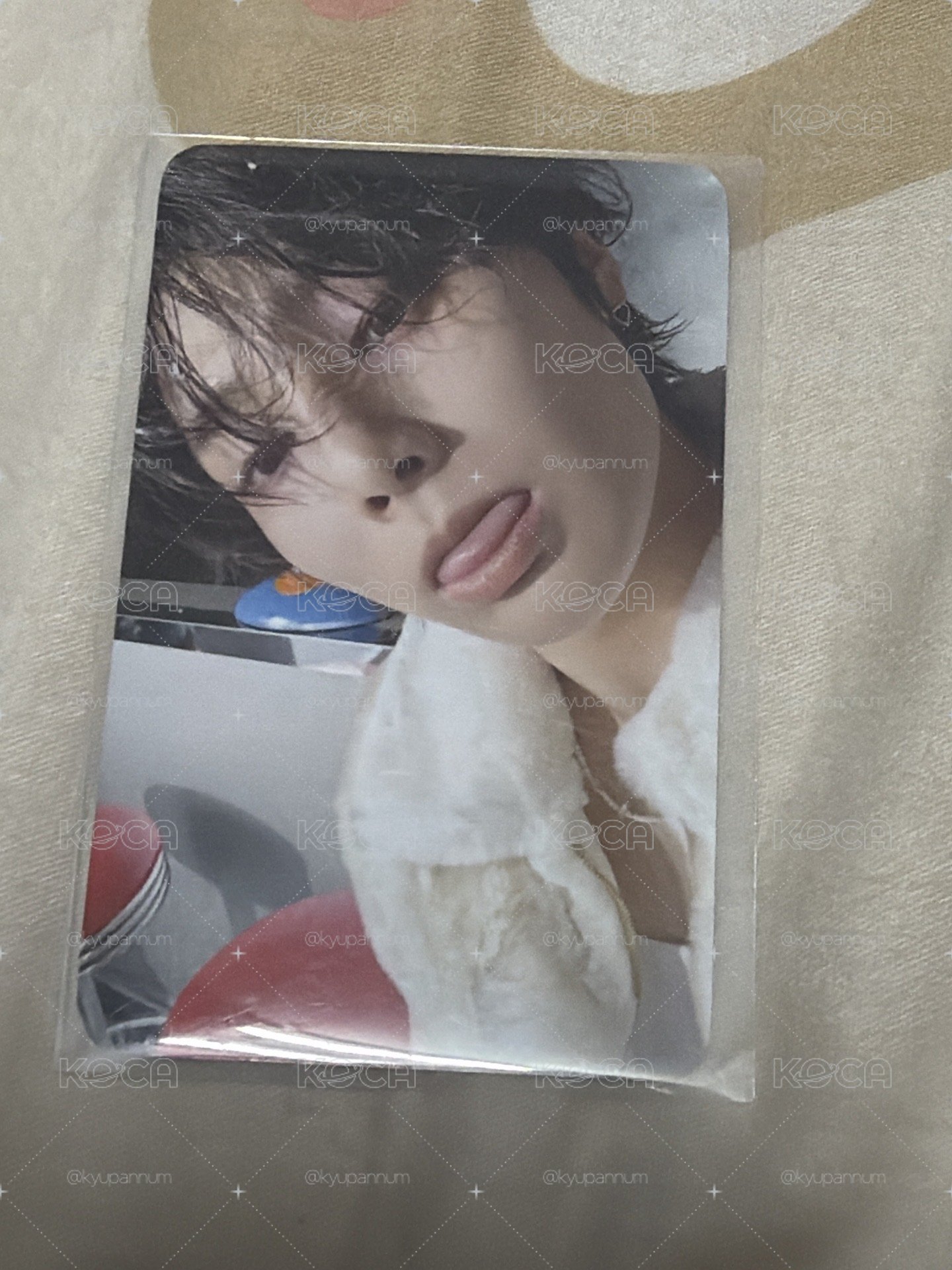 I.N特典卡