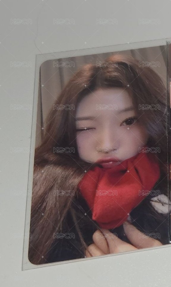 STELLA FOCUS AM幸運卡