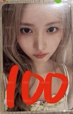 專卡6