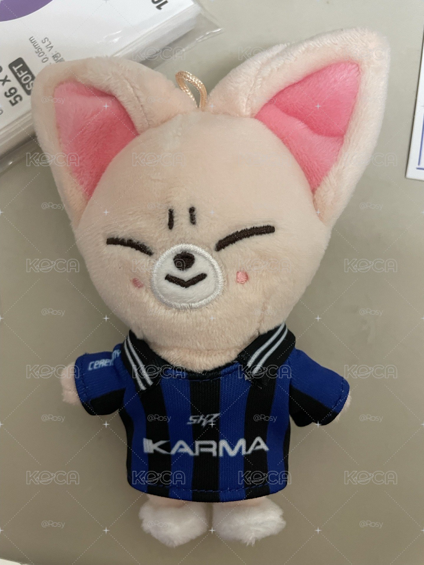 KARMA專未掃 電子專周邊