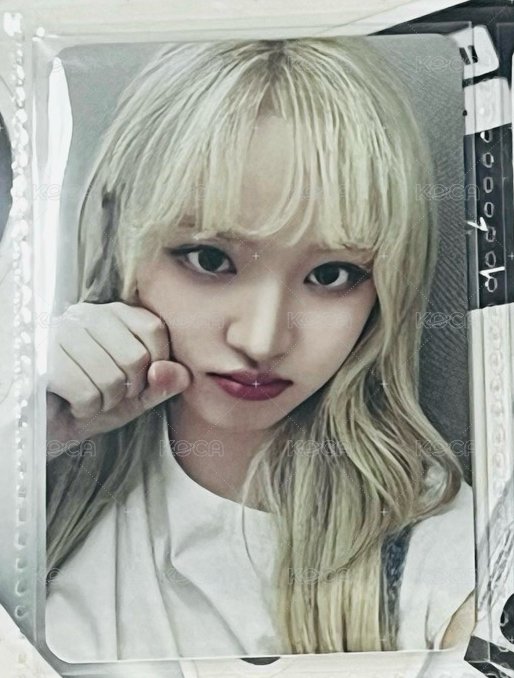楠藝3.0