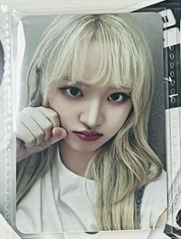 楠藝3.0