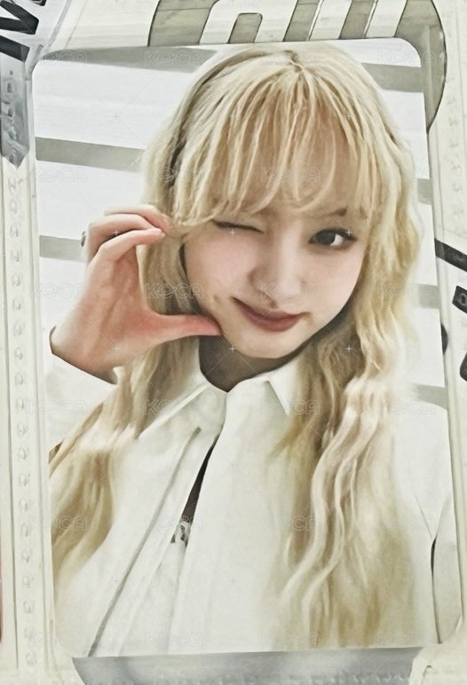 楠藝1.0