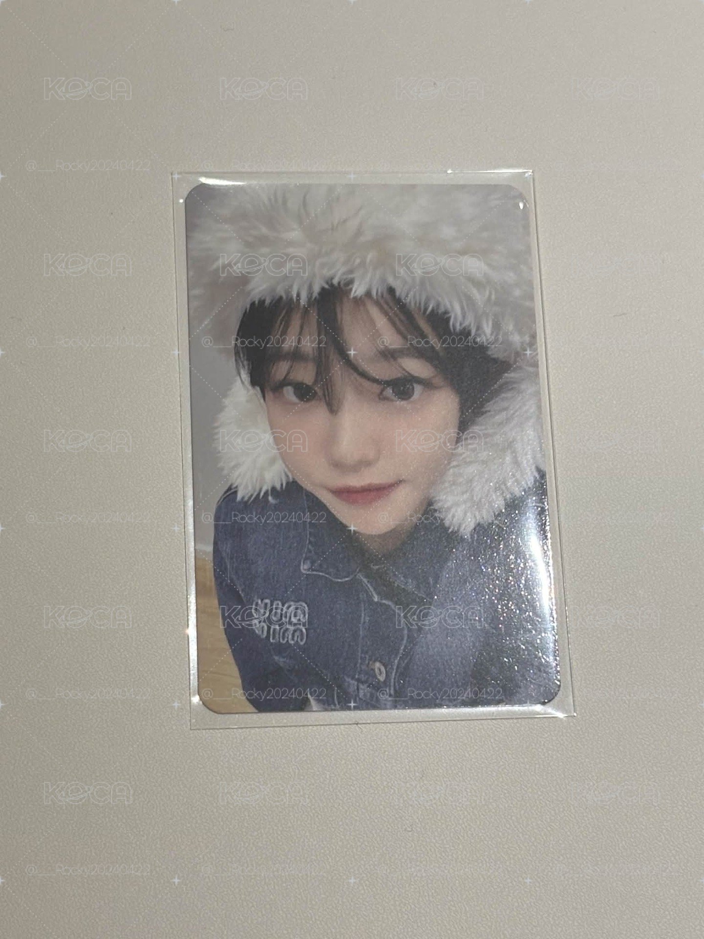 雪帽丹