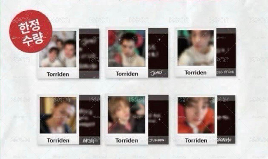 🌿Torriden拍立得小卡一組