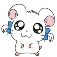 yyy