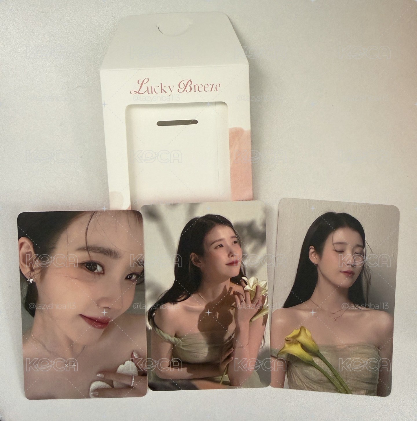 IU J.estina珠寶卡