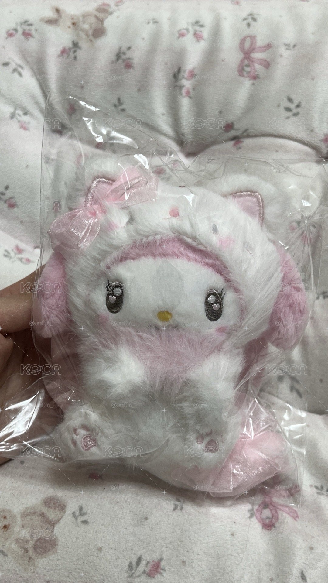小貓美樂蒂🎀