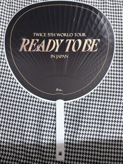 （現貨 紙箱寄出 可當日寄出）twice 日巡 momo 大扇 扇子