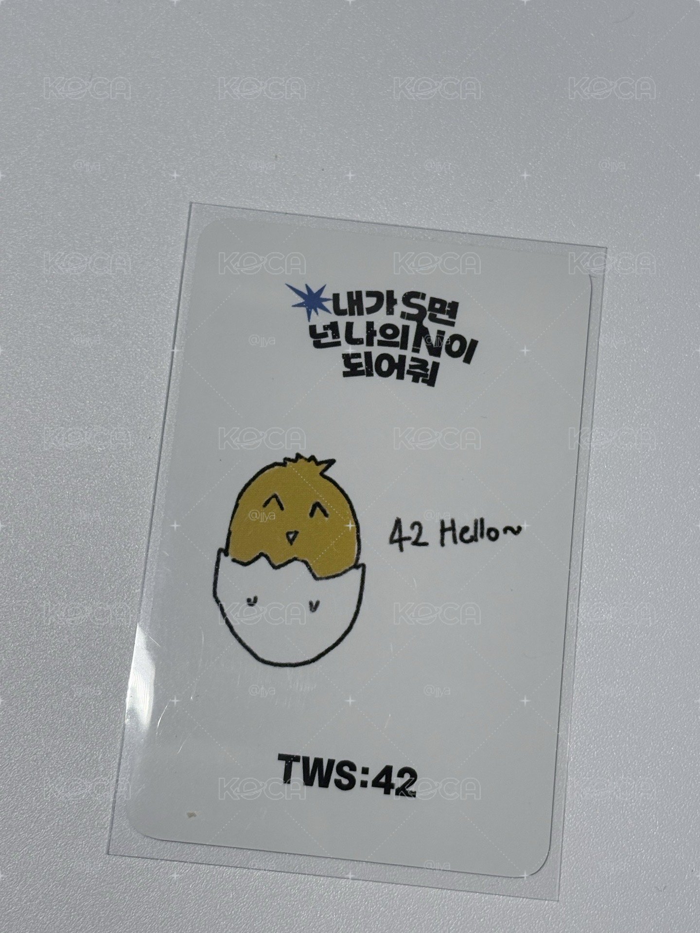 Tws 金道勳 迷二 打歌卡（無原袋）