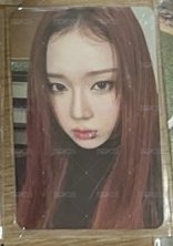 專卡6