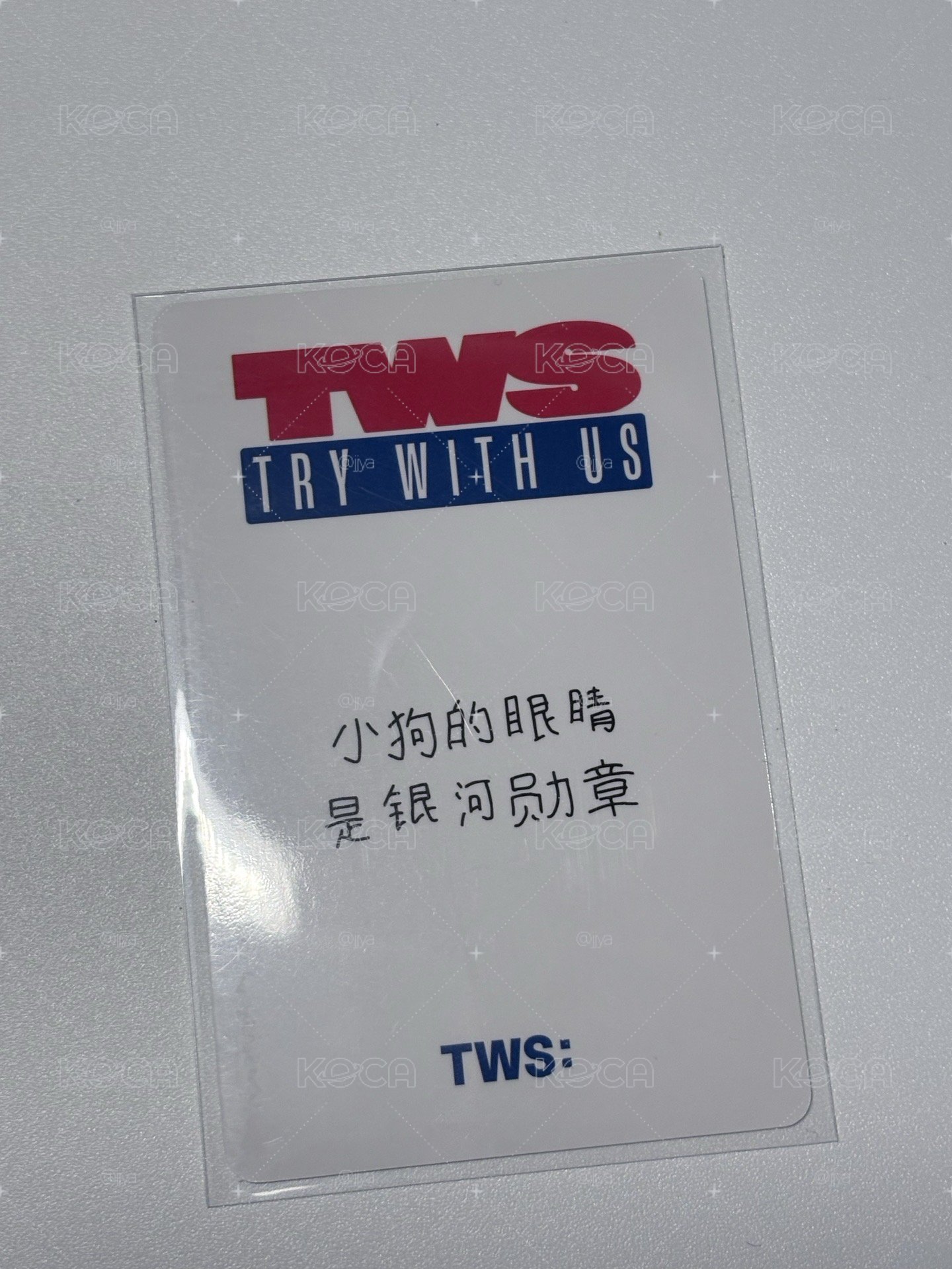 Tws 金道勳 迷三 中文卡背