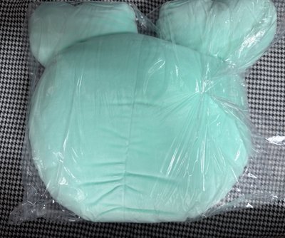 （現貨 可當日寄出）TWICE lovelys mively Mina 抱枕
