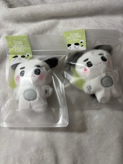 新增泰容 NCT 127 動物娃 som moong chill