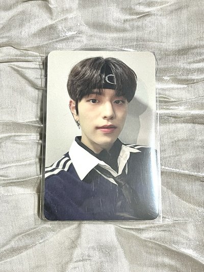 댕댕이🐶