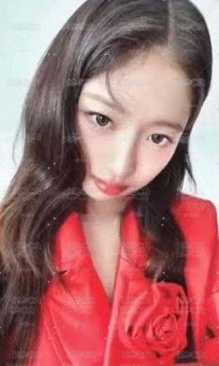 怜卡