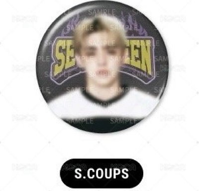 Search image