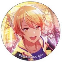 細閃 vol.6 A 徽章 神高花後