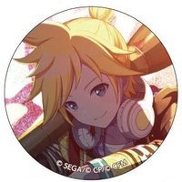 細閃 vol.6 B 徽章 新年花後