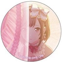 細閃 vol.6 C 徽章 IDS花後